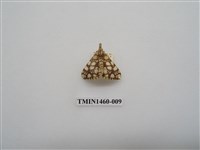 藏品(尺蠖蛾科)的圖片